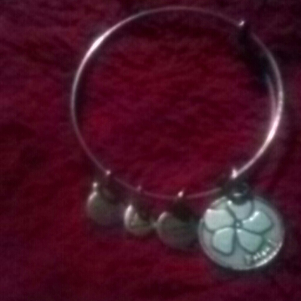 (Friend)Alex and ani bracelet